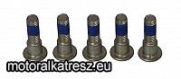 TRW Lucas Féktárcsa rögzítő csavarszett MSS 118-5