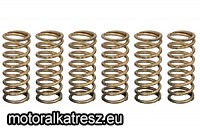 TRW Lucas MEF 339-6 kuplung rugó készlet