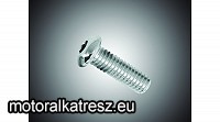 OHC Lencsefejű imbusz csavar 5/16