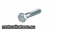 OHC Hatlapfejű csavar 5/16