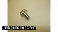 OHC Hatlapfejű csavar 5/16
