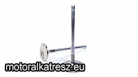 OHC Szívó szelep 513826