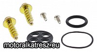 AllBalls 60-1014  benzincsap felújító készlet