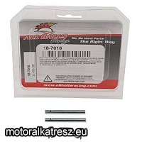 AllBalls 18-7018  hátsó féknyereg betét tartó csavar