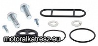 AllBalls 60-1010  benzincsap felújító készlet