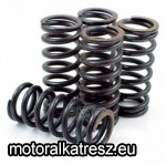 F.C.C. 041-863 Kuplungrugó