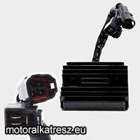 Tourmax Feszültség szabályzó 253-7118 / RGU-318